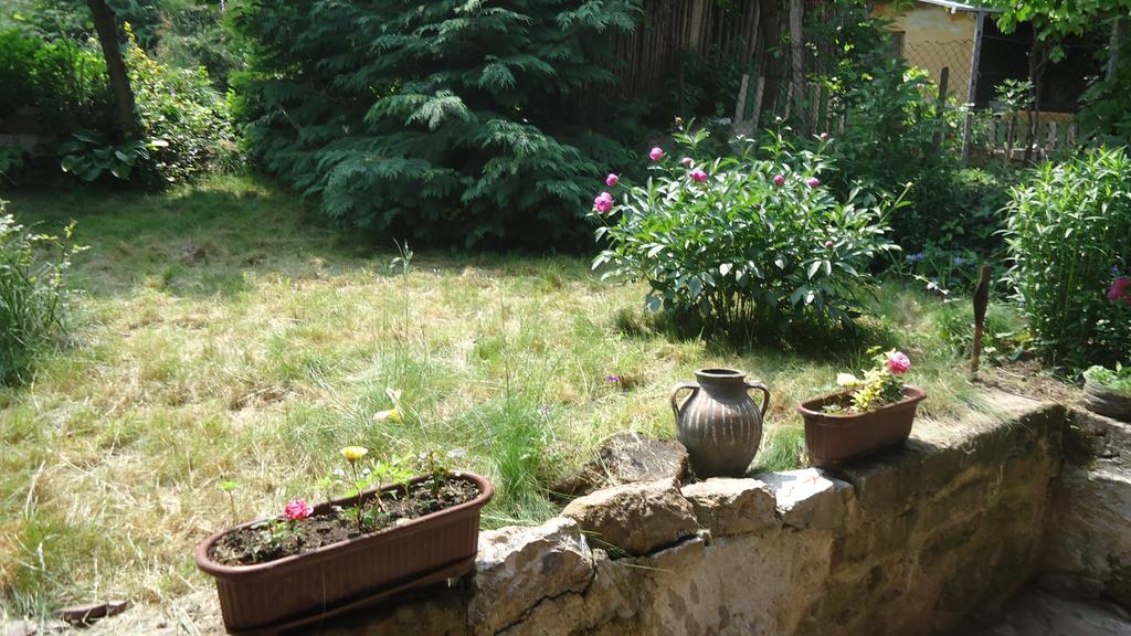 Guest House Zora Belogradchik Ngoại thất bức ảnh